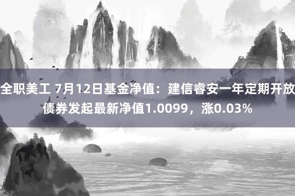 全职美工 7月12日基金净值：建信睿安一年定期开放债券发起最新净值1.0099，涨0.03%