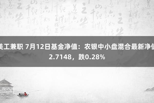 美工兼职 7月12日基金净值：农银中小盘混合最新净值2.7148，跌0.28%