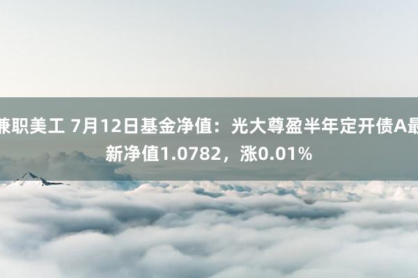 兼职美工 7月12日基金净值：光大尊盈半年定开债A最新净值1.0782，涨0.01%