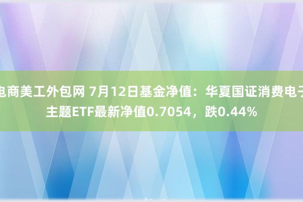 电商美工外包网 7月12日基金净值：华夏国证消费电子主题ETF最新净值0.7054，跌0.44%