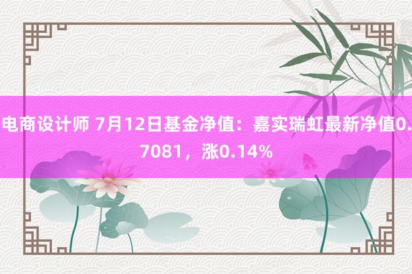 电商设计师 7月12日基金净值：嘉实瑞虹最新净值0.7081，涨0.14%