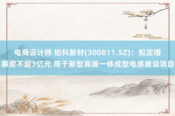 电商设计师 铂科新材(300811.SZ)：拟定增募资不超3亿元 用于新型高端一体成型电感建设项目